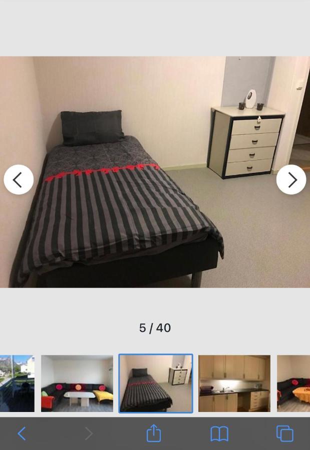 Senja Villa Gryllefjord Zewnętrze zdjęcie