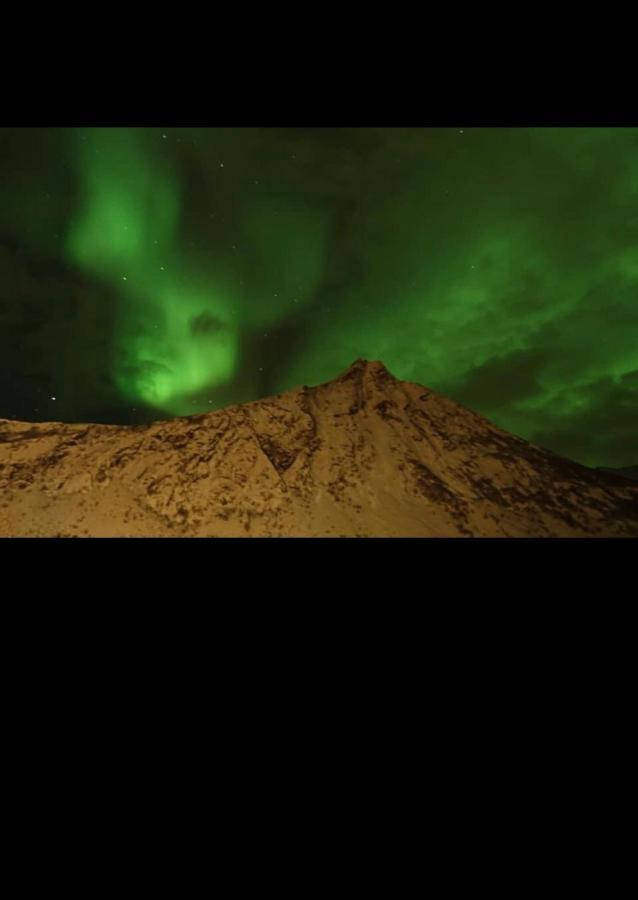 Senja Villa Gryllefjord Zewnętrze zdjęcie