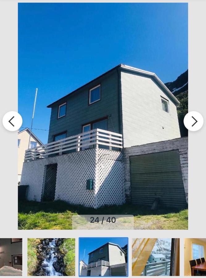 Senja Villa Gryllefjord Zewnętrze zdjęcie